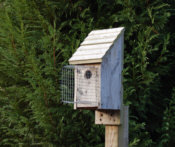 Urban Bird House