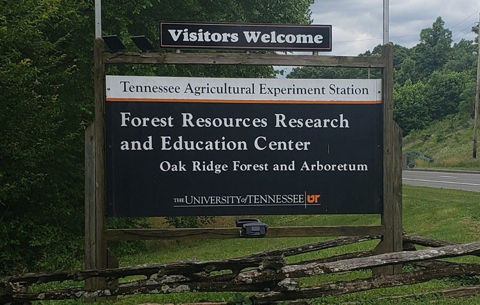 Entrance Sign