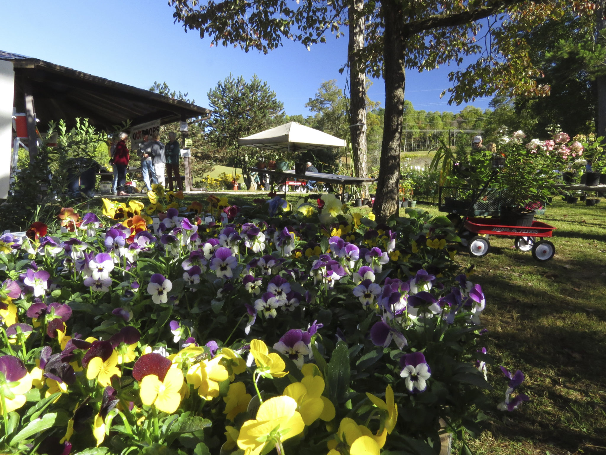 Spring Plant Sale UT Arboretum