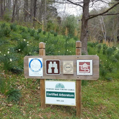 Tennessee Urban Forestry Sign 