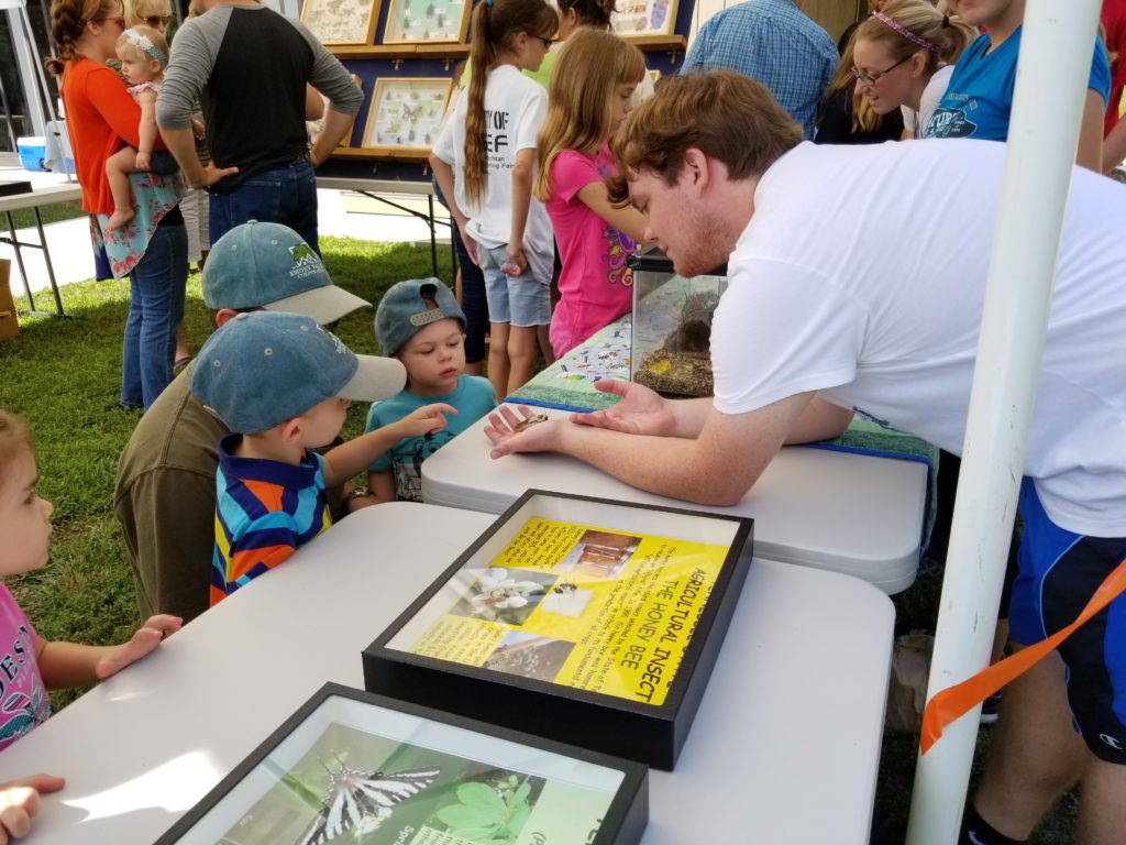 Children interacting with specimens at the Insect Zoo display!