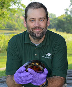 Dr. Matt Allender holding an Eastern Box Turtle