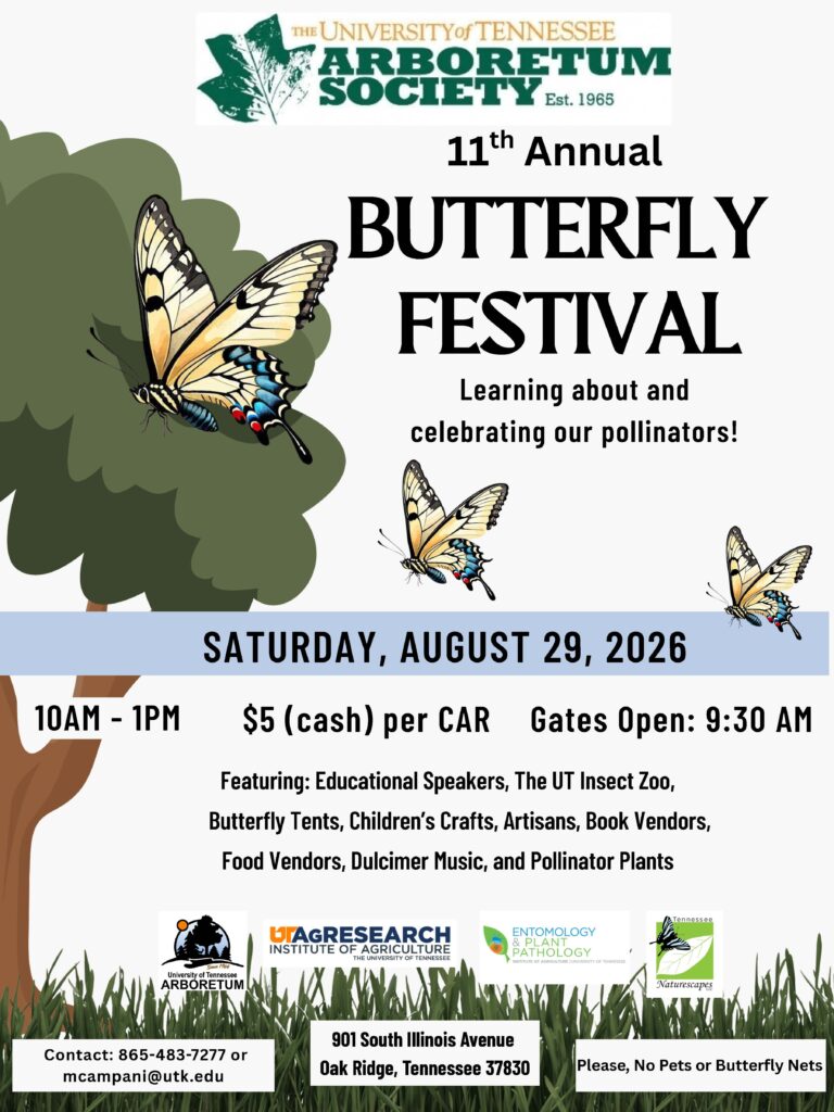 Poster with details about date and time of 2026 UT Arboretum Society Butterfly Festival. Festival is Saturday, August 29 from 10am - 1pm. Entry fee is 5 dollars/car. No pets allowed and no butterfly nets. Gates open at 9:30am